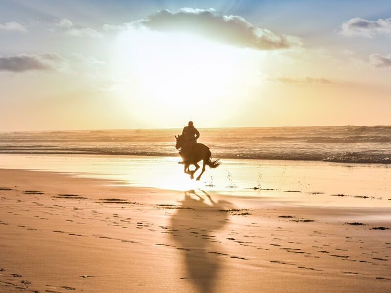 Comfort Fas & Sahra Çölü Turu (Çölde Kamp Konaklamalı) Air Arabia ile 7 gece - Ekstra turlar ve Akşam Yemekleri Dahil